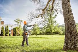 Best Emergency Tree Removal  in Pequot Lakes, MN